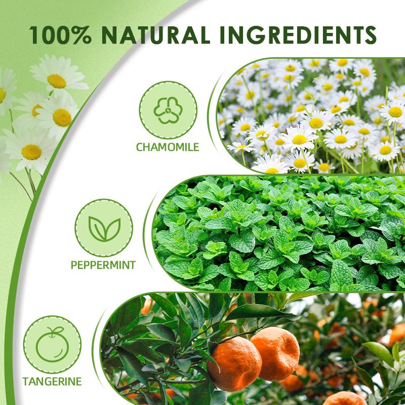 BUNKKA Organic Chamomile Tea Support Improve Sleep Quality Soothe the Nerves Promote Digestive Health Heart Health Beauty Tea
