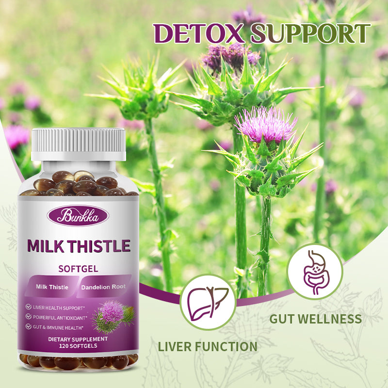 Milk Thistle Capsule