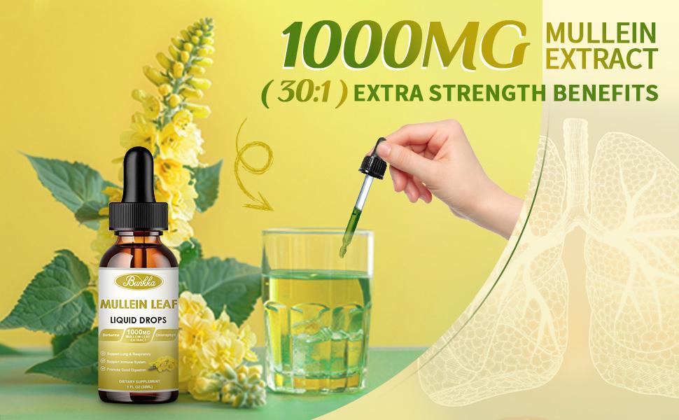 Bunkka 2 Pack Mullein  Liquid Drops Supplement for Lungs