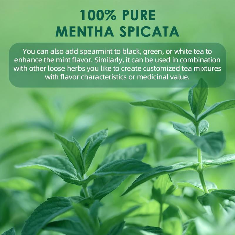 Bunkka Spearmint Tea Naturally Caffeine Free Aromatic Light and Minty Support to Improve in Digestion and Bloating Hormonal balance Tea Bag