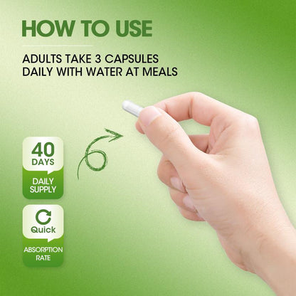 Ginkgo Biloba Capsules