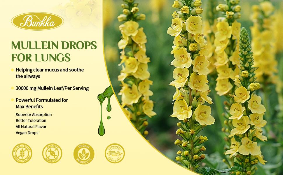 Bunkka 2 Pack Mullein  Liquid Drops Supplement for Lungs