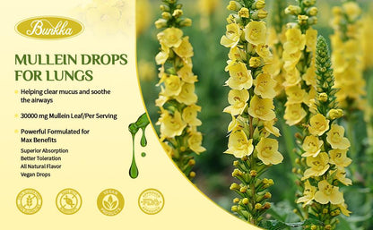 Bunkka 2 Pack Mullein  Liquid Drops Supplement for Lungs