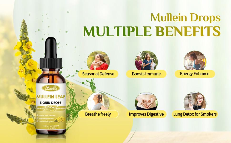 Bunkka 2 Pack Mullein  Liquid Drops Supplement for Lungs
