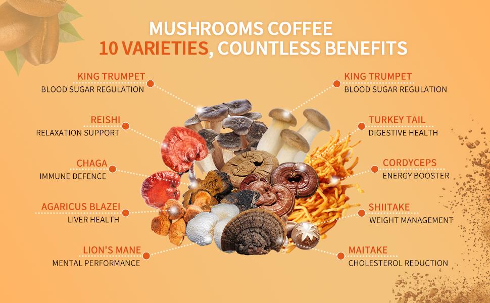 10 Mushrooms Instant Coffee Alternative Packets for Energy, Focus, Immune & Gut Health Support